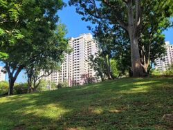 Blk 35 Rumah Tinggi View (Bukit Merah), HDB 5 Rooms #531098741